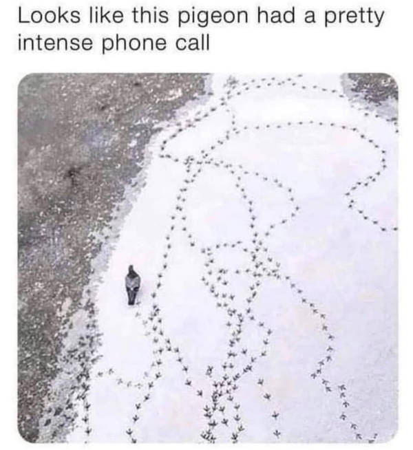 certified dank memes you need right now 38 pics 15.html - 38 HD Photos | Premium Gallery 2026