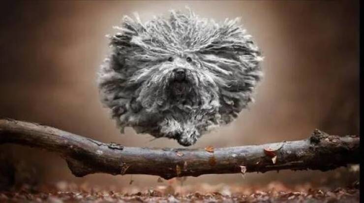 daily picdump 49 pics 14.html - 49 HD Photos | Premium Gallery 2026