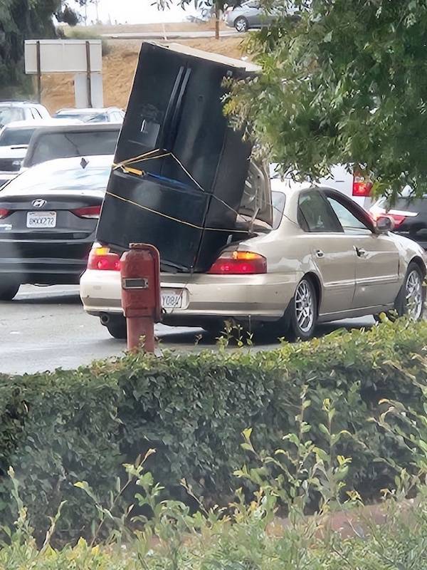 daily picdump 49 pics 14.html - 49 HD Photos | Premium Gallery 2026