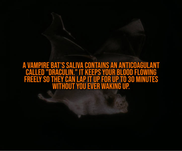 These Creepy Facts Will Haunt You