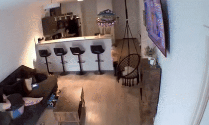 daily gifdump 41 gifs 9.html - 1 HD GIF | Premium Gallery 2026