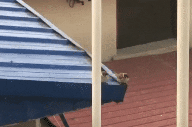 daily gifdump 41 gifs 9.html - 1 HD GIF | Premium Gallery 2026