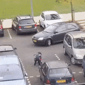 daily gifdump 41 gifs 9.html - 1 HD GIF | Premium Gallery 2026