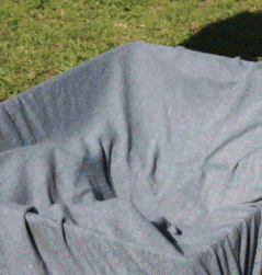 daily gifdump 41 gifs 9.html - 1 HD GIF | Premium Gallery 2026