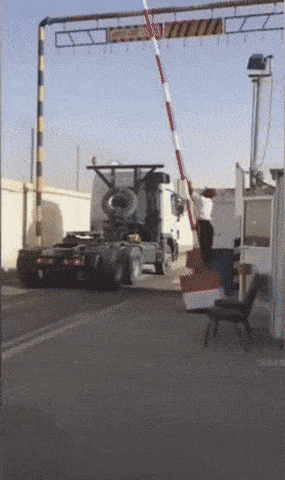 daily gifdump 41 gifs 9.html - 1 HD GIF | Premium Gallery 2026