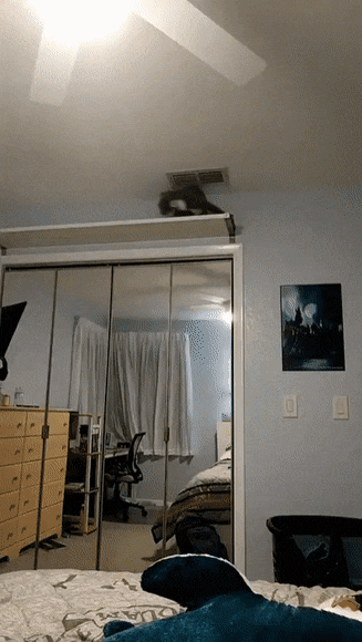 daily gifdump 41 gifs 9.html - 1 HD GIF | Premium Gallery 2026