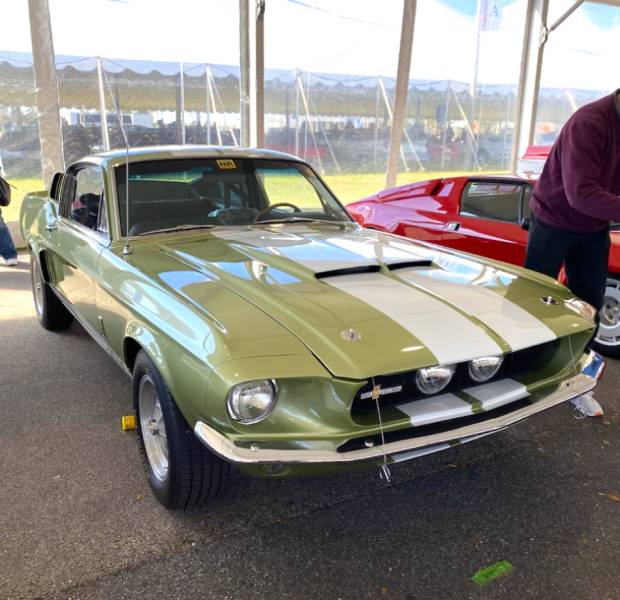 Built to Roar: Legendary Muscle Cars