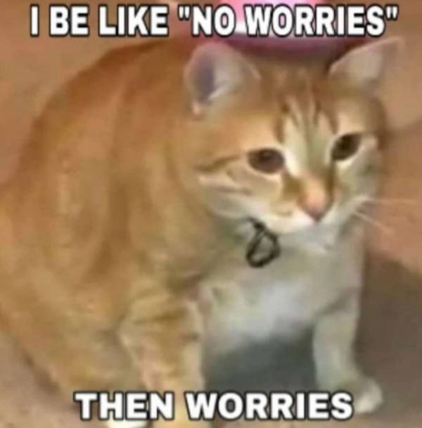 Cats Being Their Adorable Selves