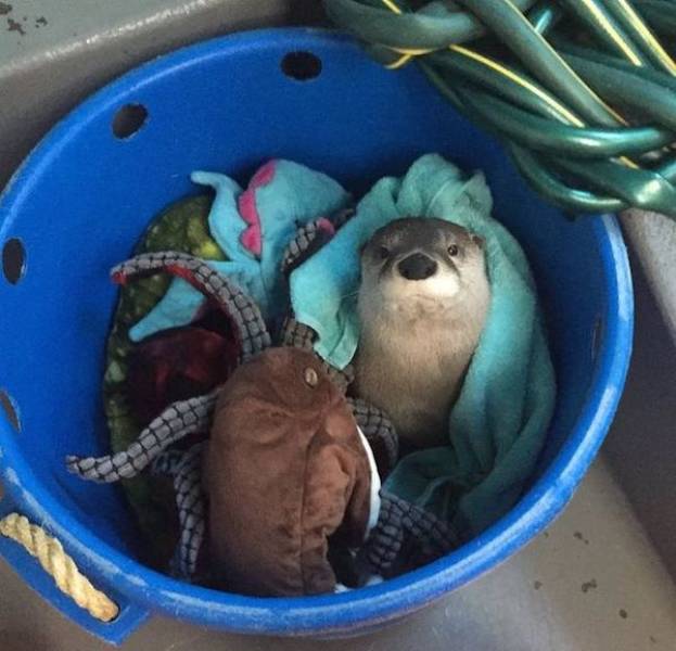 daily picdump 43 pics 14.html - 43 HD Photos | Premium Gallery 2026