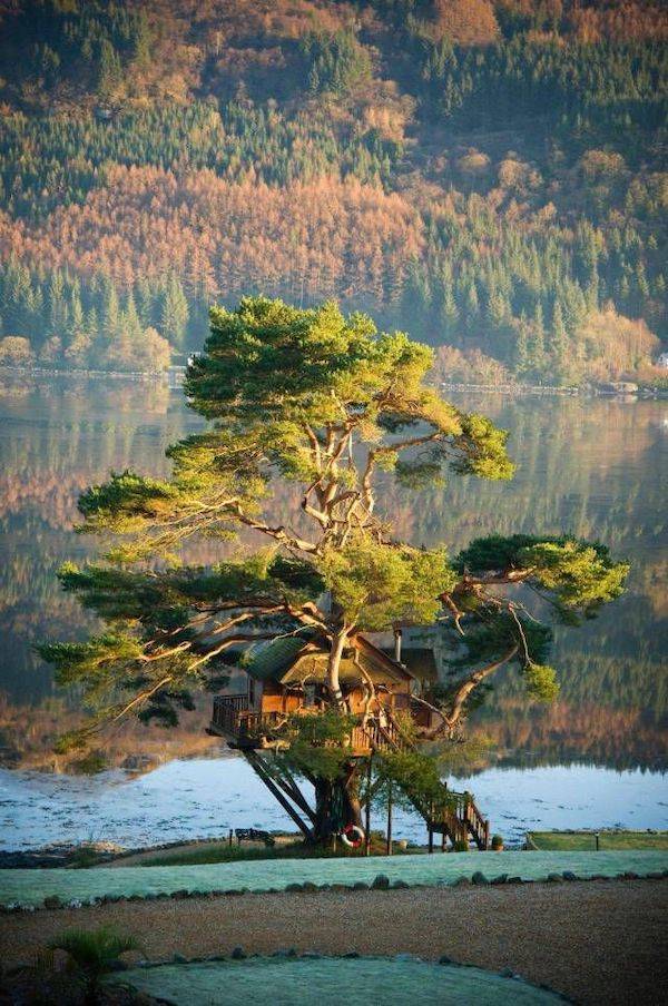 daily picdump 43 pics 14.html - 43 HD Photos | Premium Gallery 2026