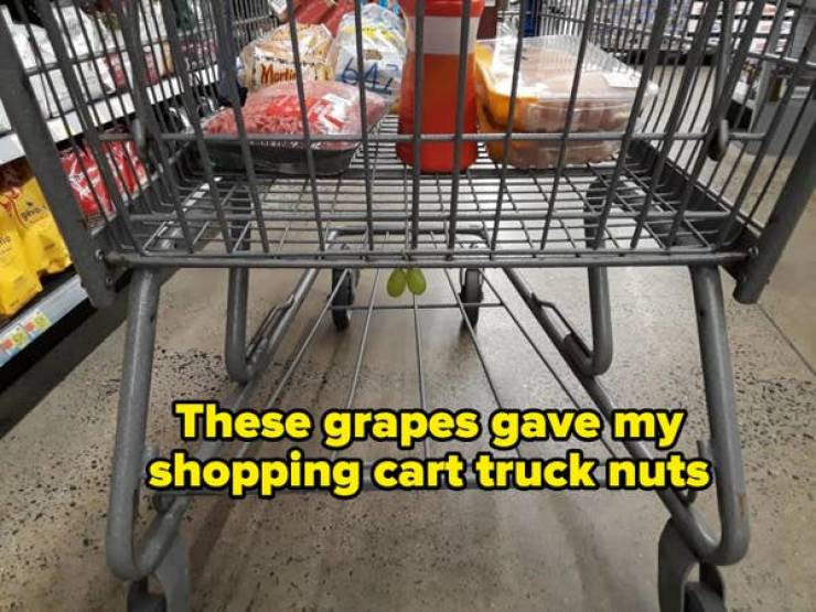 These Pics Are Comedy Gold