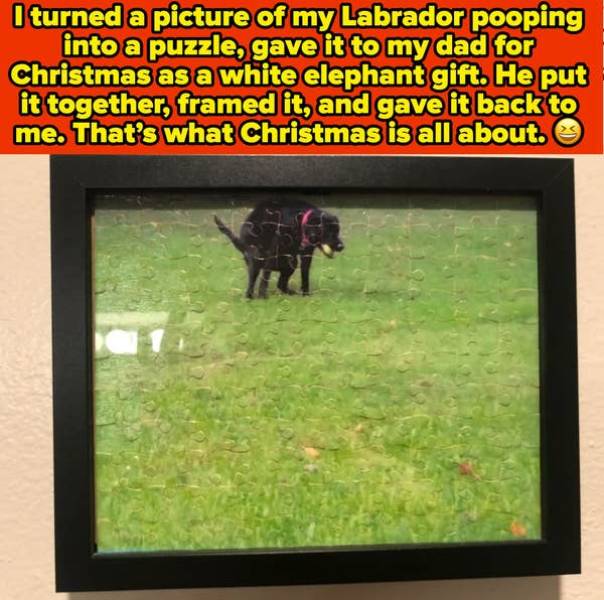 These Pics Are Comedy Gold