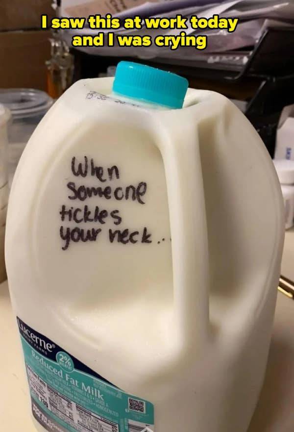 These Pics Are Comedy Gold