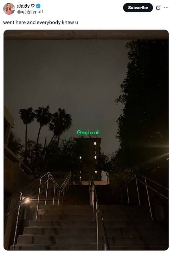 Well-Traveled Memes That Remind Us of You