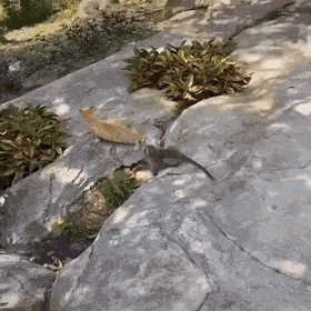 daily gifdump 47 gifs 6.html - 1 HD GIF | Premium Gallery 2026