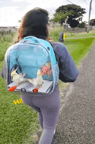 daily gifdump 47 gifs 6.html - 1 HD GIF | Premium Gallery 2026