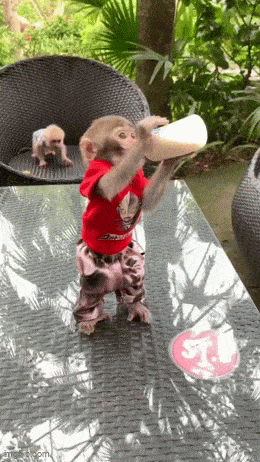 daily gifdump 47 gifs 6.html - 1 HD GIF | Premium Gallery 2026