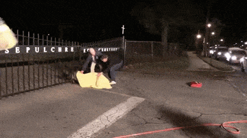 daily gifdump 47 gifs 6.html - 1 HD GIF | Premium Gallery 2026