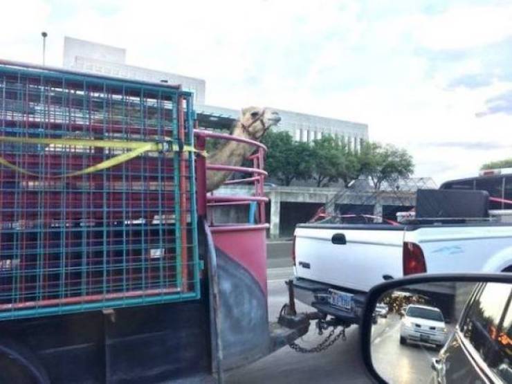 daily picdump 42 pics 9.html - 42 HD Photos | Premium Gallery 2026