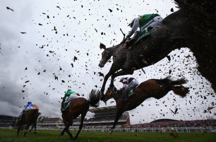 daily picdump 42 pics 9.html - 42 HD Photos | Premium Gallery 2026