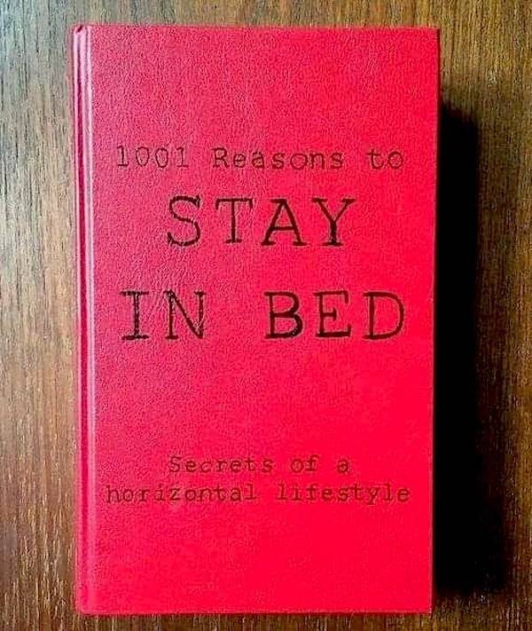 extra cheesy memes to brighten your day 36 pics 14.html - 36 HD Photos | Premium Gallery 2026