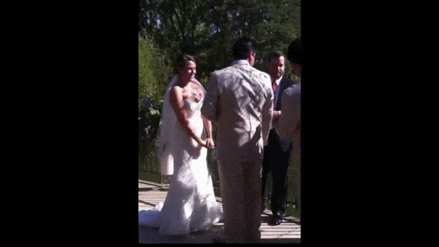 daily gifdump 50 gifs 2.html - 1 HD GIF | Premium Gallery 2026