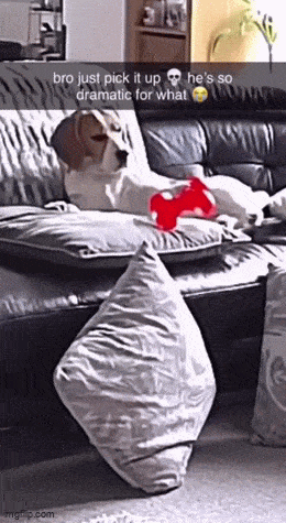 daily gifdump 50 gifs 2.html - 1 HD GIF | Premium Gallery 2026