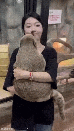 daily gifdump 50 gifs 2.html - 1 HD GIF | Premium Gallery 2026