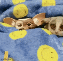 daily gifdump 50 gifs 2.html - 1 HD GIF | Premium Gallery 2026