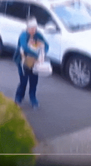 daily gifdump 50 gifs 2.html - 1 HD GIF | Premium Gallery 2026