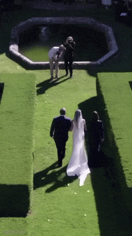 daily gifdump 50 gifs 2.html - 1 HD GIF | Premium Gallery 2026