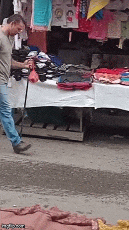 daily gifdump 50 gifs 2.html - 1 HD GIF | Premium Gallery 2026