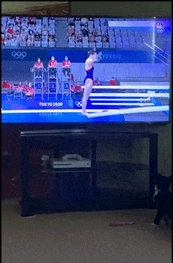 daily gifdump 50 gifs 2.html - 1 HD GIF | Premium Gallery 2026