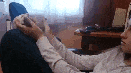 daily gifdump 50 gifs 2.html - 1 HD GIF | Premium Gallery 2026