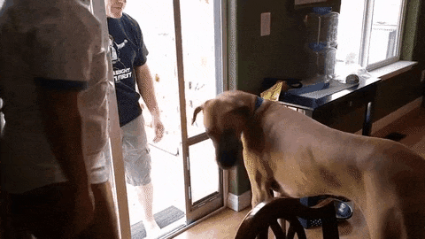 daily gifdump 50 gifs 2.html - 1 HD GIF | Premium Gallery 2026