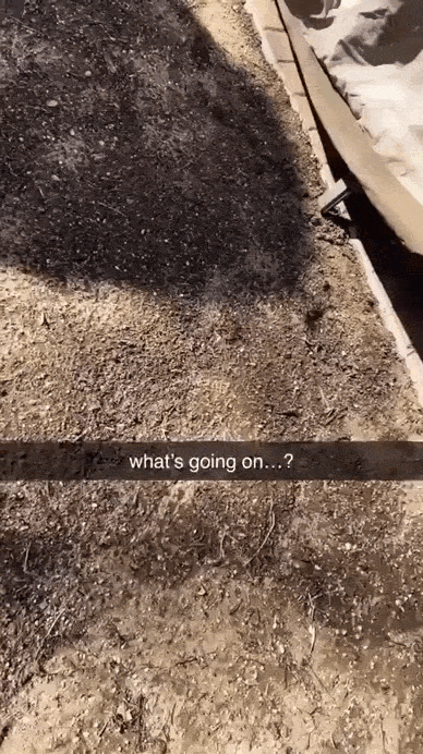 daily gifdump 50 gifs 2.html - 1 HD GIF | Premium Gallery 2026