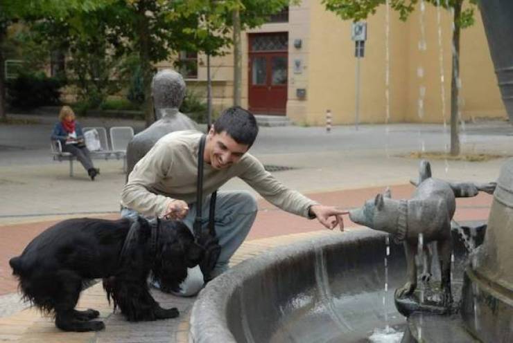 daily picdump 48 pics 3.html - 48 HD Photos | Premium Gallery 2026