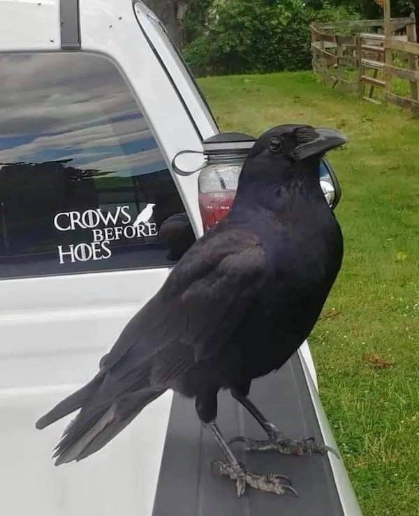 daily picdump 48 pics 3.html - 48 HD Photos | Premium Gallery 2026