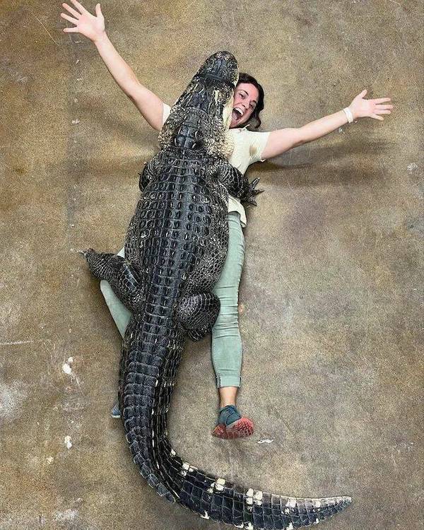 daily picdump 48 pics 3.html - 48 HD Photos | Premium Gallery 2026