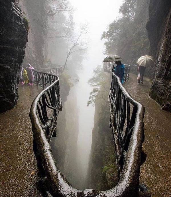 daily picdump 48 pics 3.html - 48 HD Photos | Premium Gallery 2026