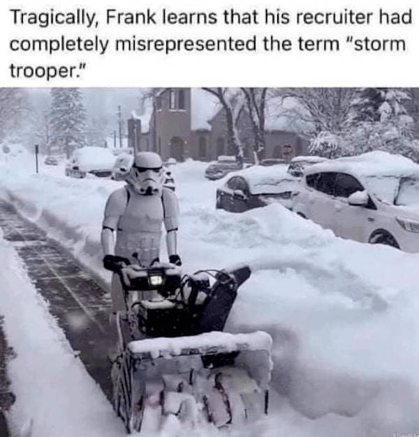 Not Smart… But Also Not Wrong