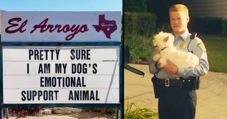 The Funniest El Arroyo Signs on the Internet