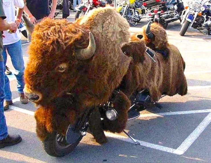 These Rides Are Built Different