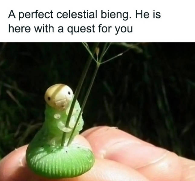 Wholesome Pictures That Feel Like a Warm Hug