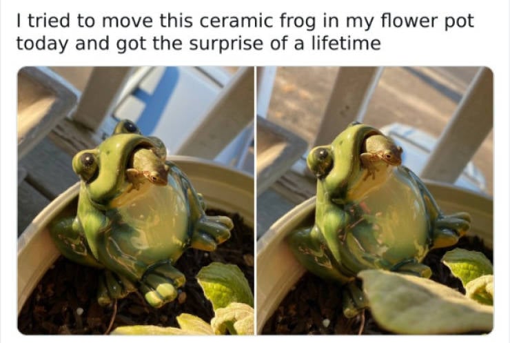 wholesome pictures that feel like a warm hug 30 pics 4.html - 30 HD Photos | Premium Gallery 2026