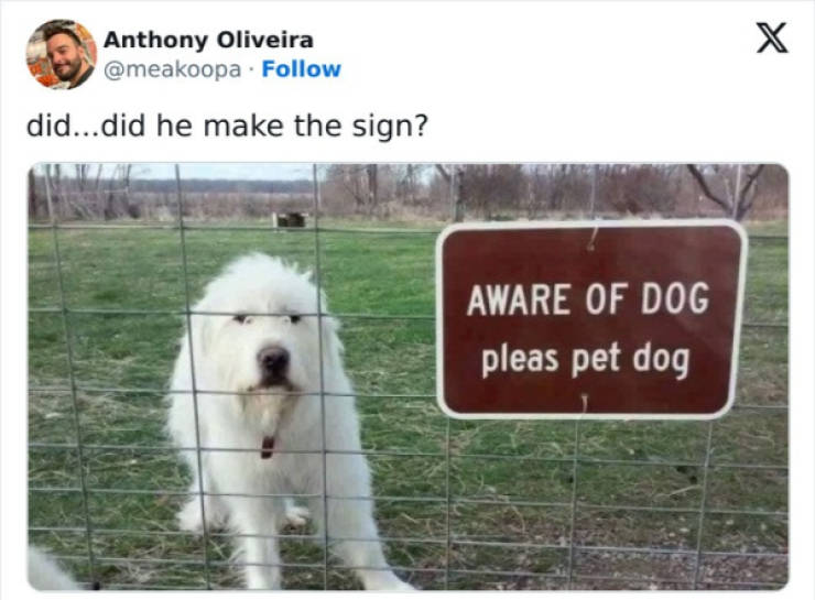 wholesome pictures that feel like a warm hug 30 pics 4.html - 30 HD Photos | Premium Gallery 2026