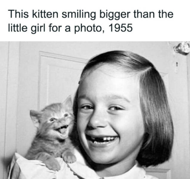 wholesome pictures that feel like a warm hug 30 pics 4.html - 30 HD Photos | Premium Gallery 2026