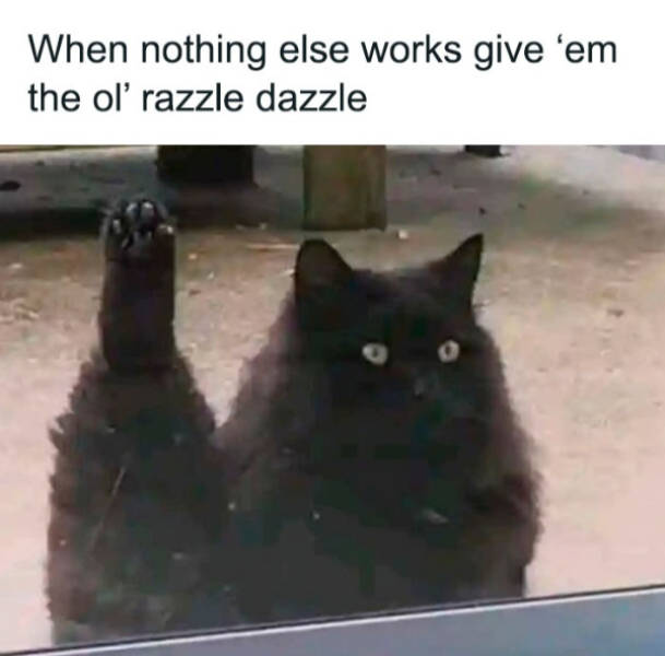 wholesome pictures that feel like a warm hug 30 pics 4.html - 30 HD Photos | Premium Gallery 2026