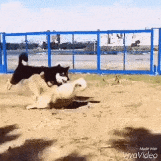 daily gifdump 48 gifs 6.html - 1 HD GIF | Premium Gallery 2026