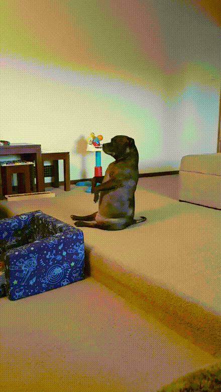 daily gifdump 48 gifs 6.html - 1 HD GIF | Premium Gallery 2026